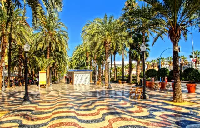 Gym in Alicante