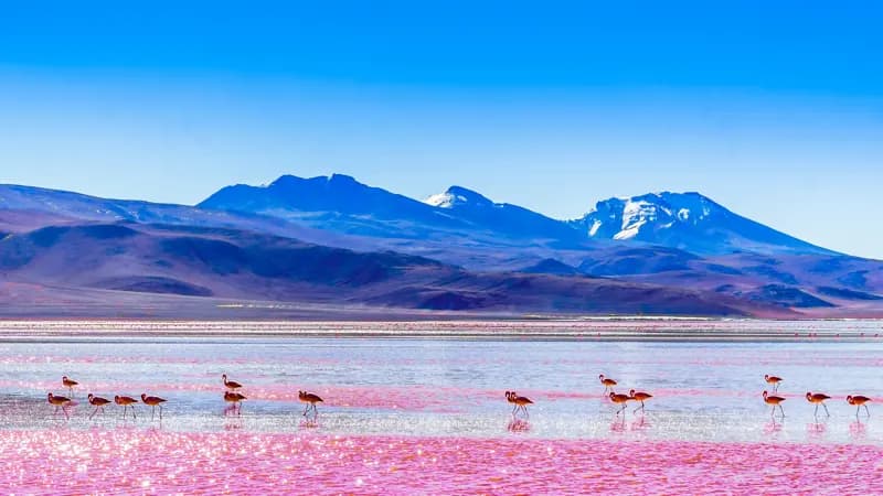 Gyms in Bolivia