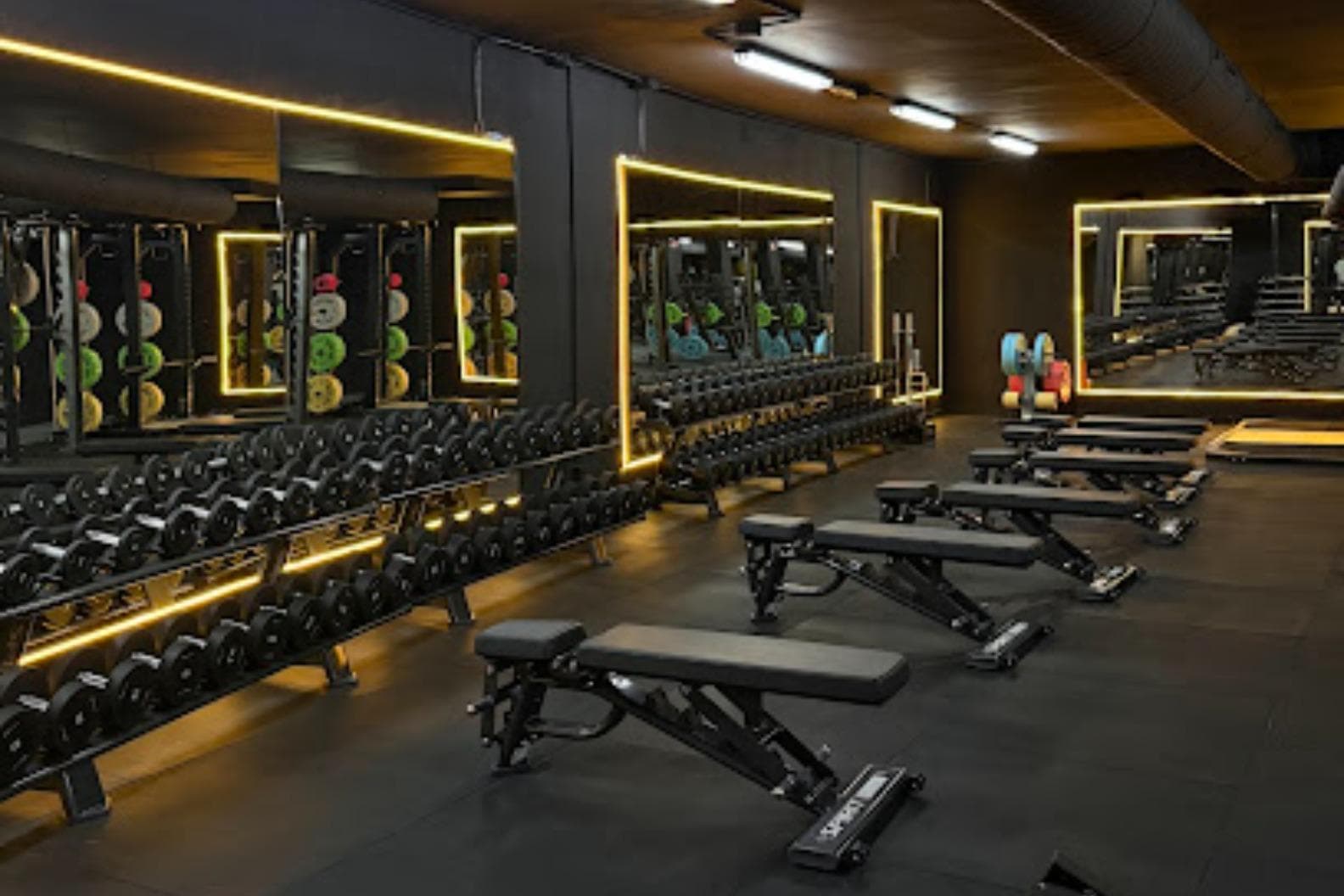 Dario Gym
