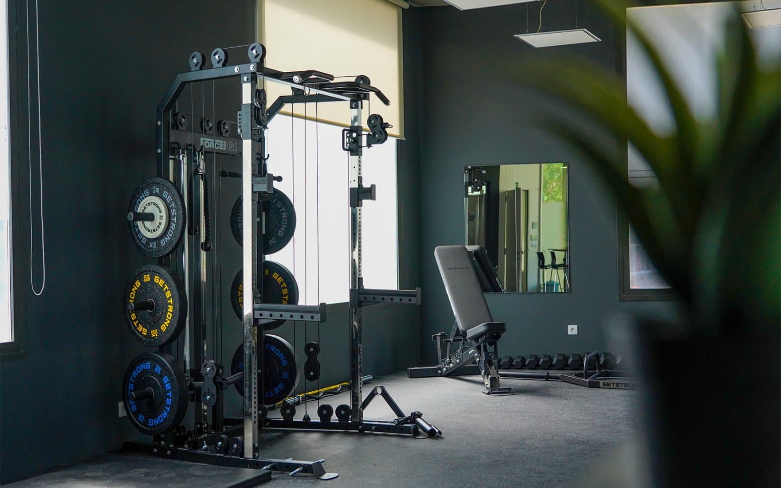 DOM Fitness Concept