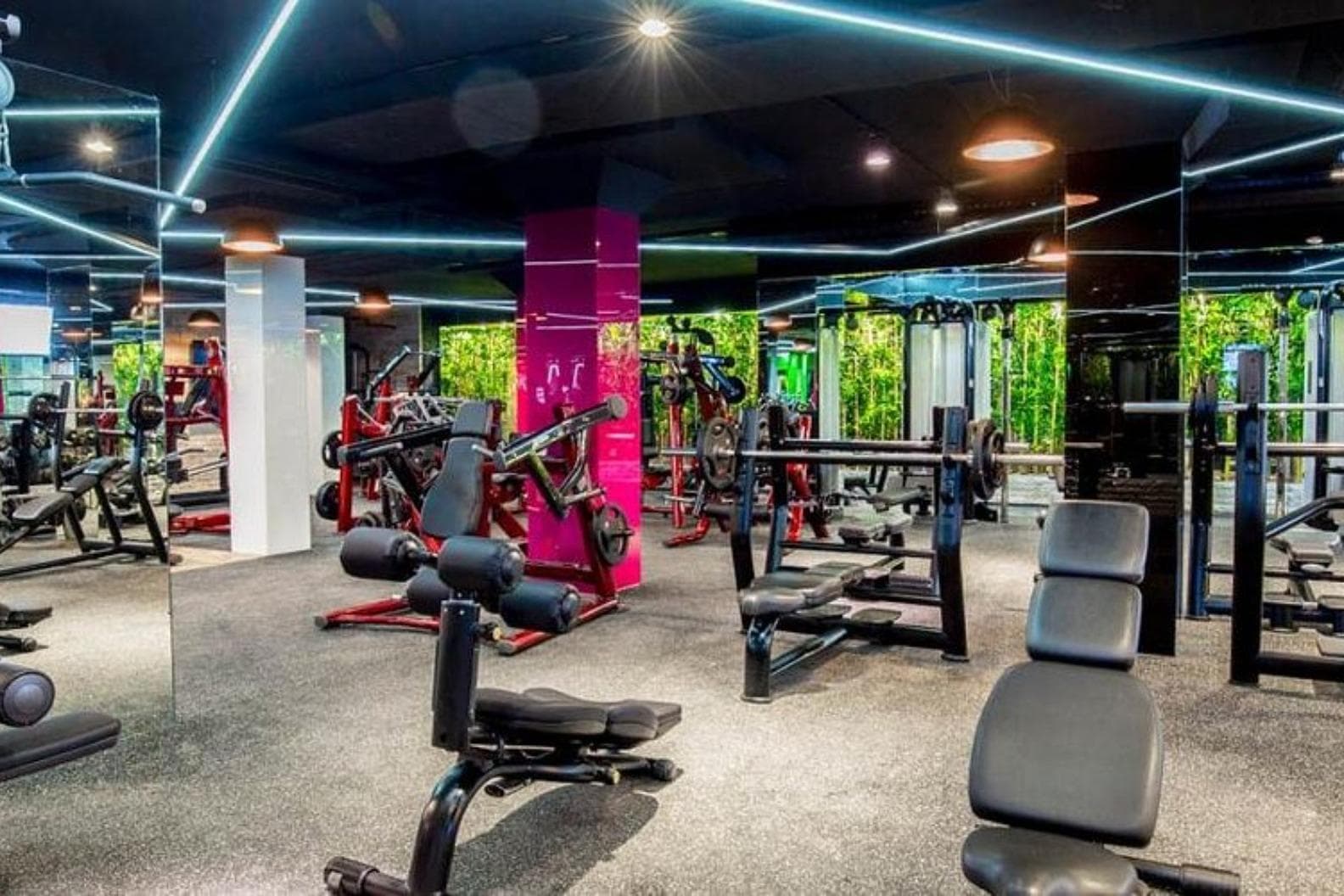 Pulse Fit (Downtown)