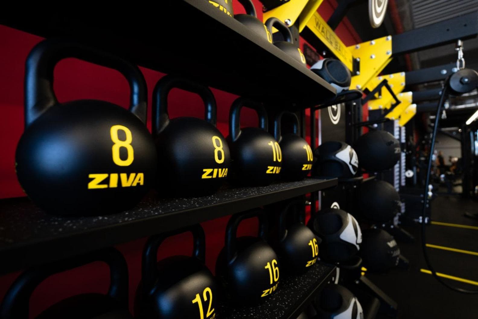 Xtreme Fitness Strzegom