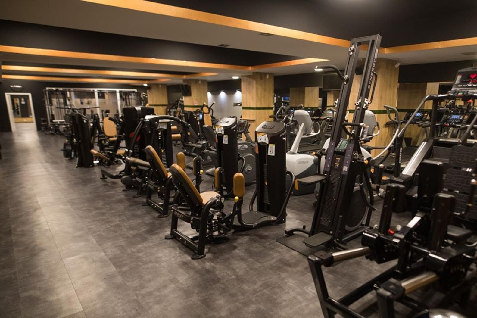 Downtown Fitness (Mihalache)