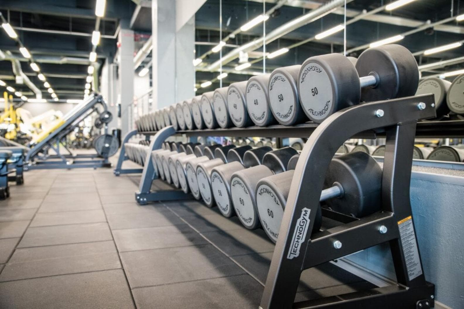 GYM! Eesti (Ülenurme)