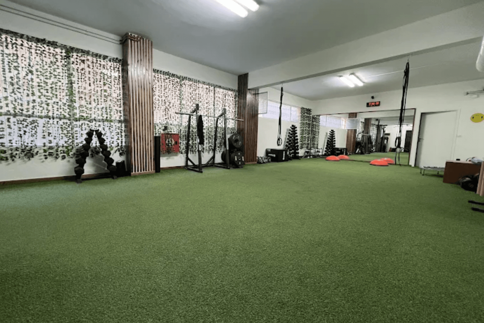 Reborn Training