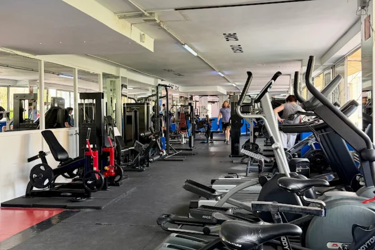 Mind Fitness