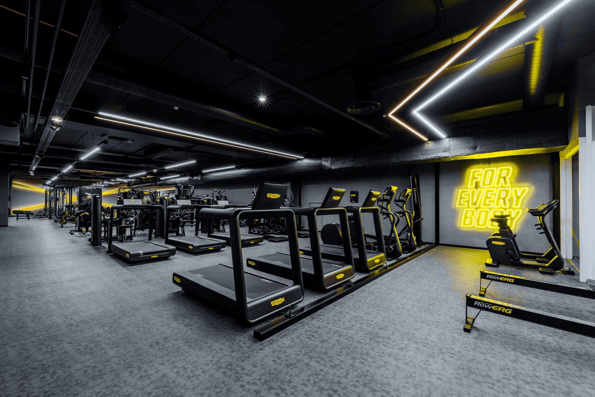 Gym! Eesti (Jõhvi)
