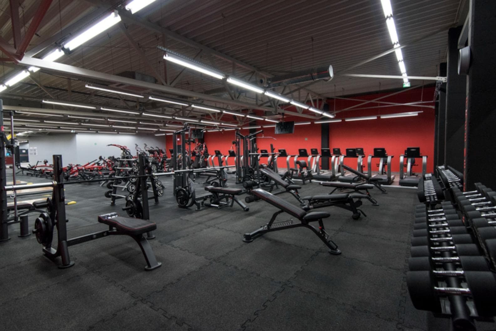 Xtreme Fitness Jaworzno