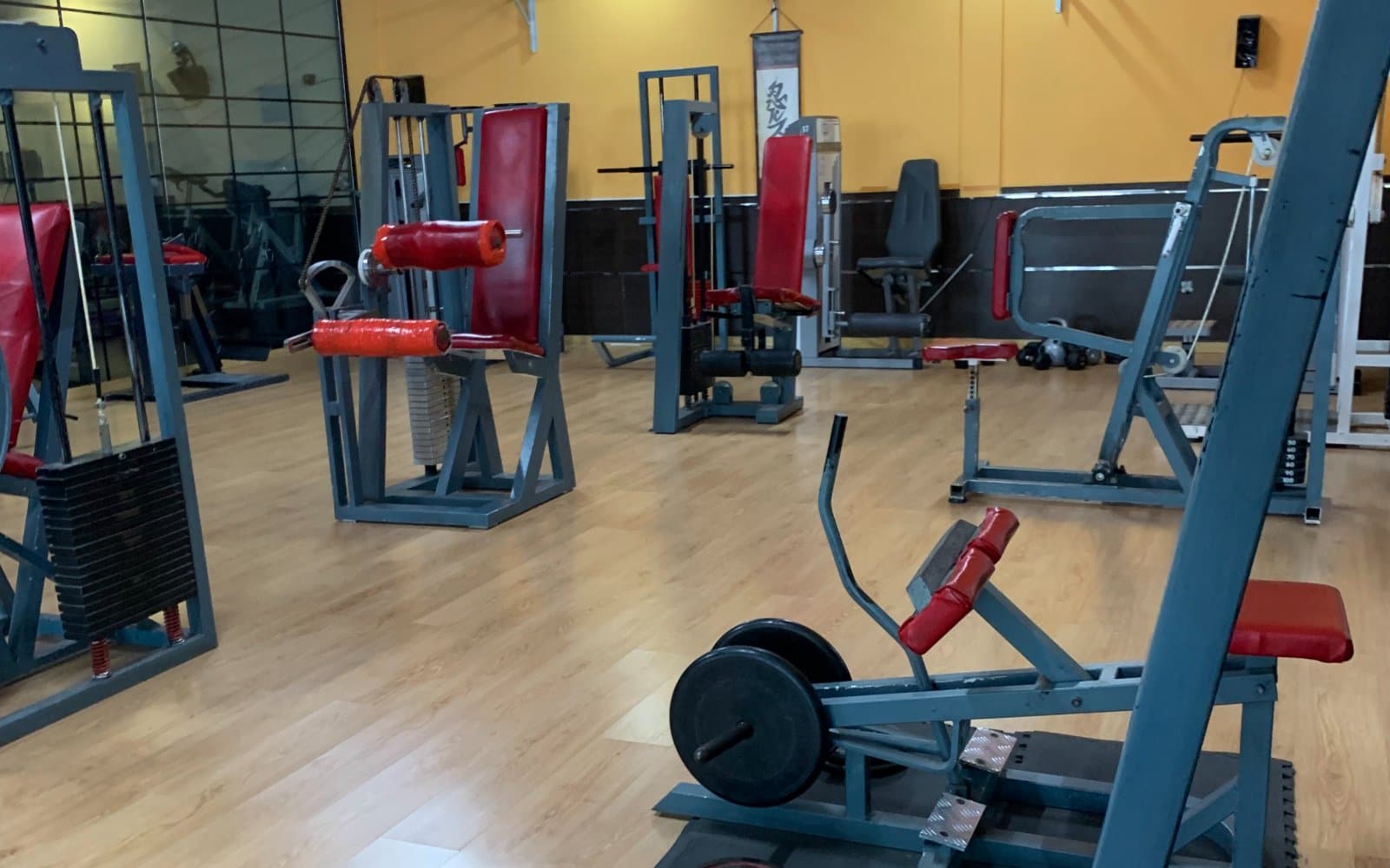 Gimnasio Iron Body Manises