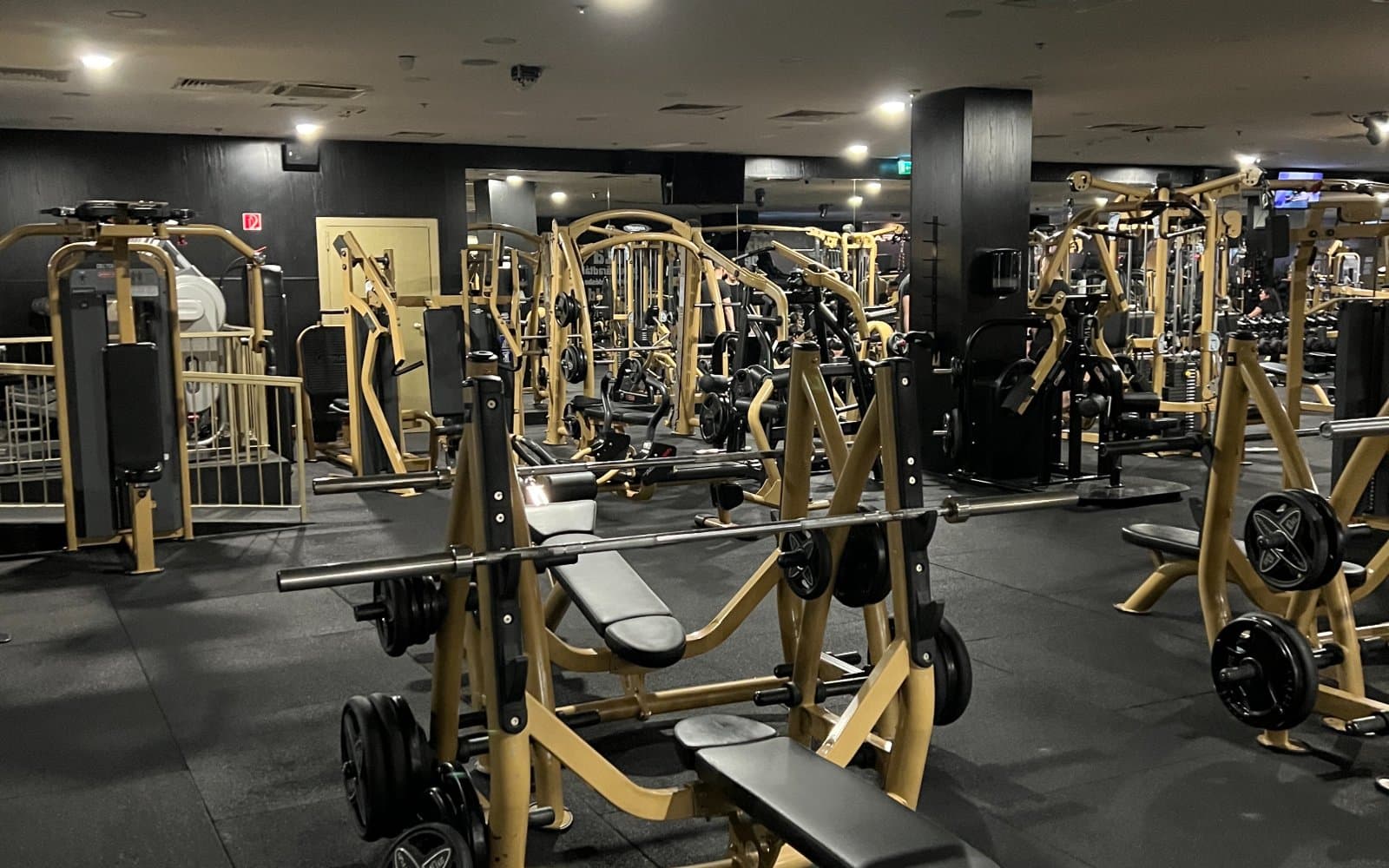Peak Gym (Arena)