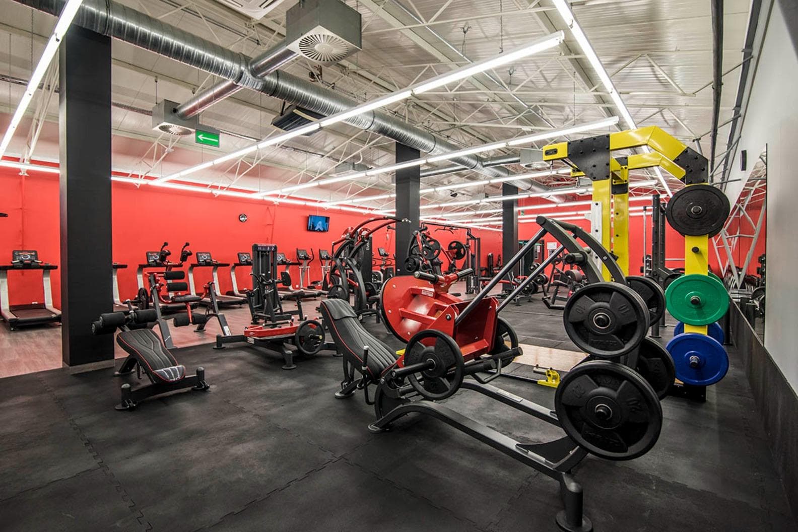 Xtreme Fitness Płońsk
