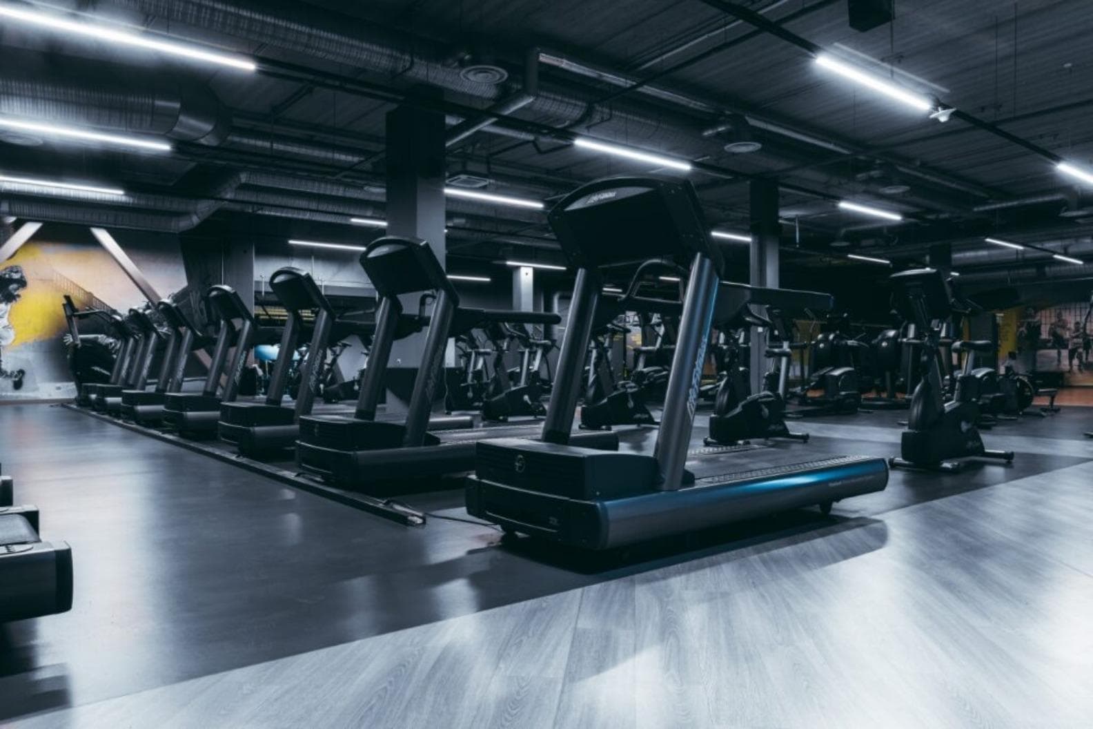Gym! Eesti (Mustika)