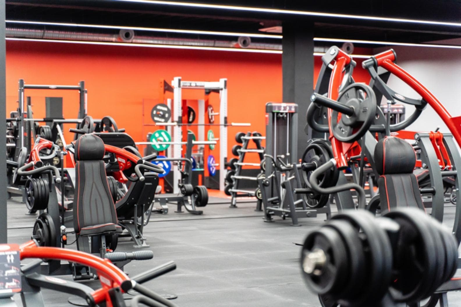 Xtreme Fitness Mielec