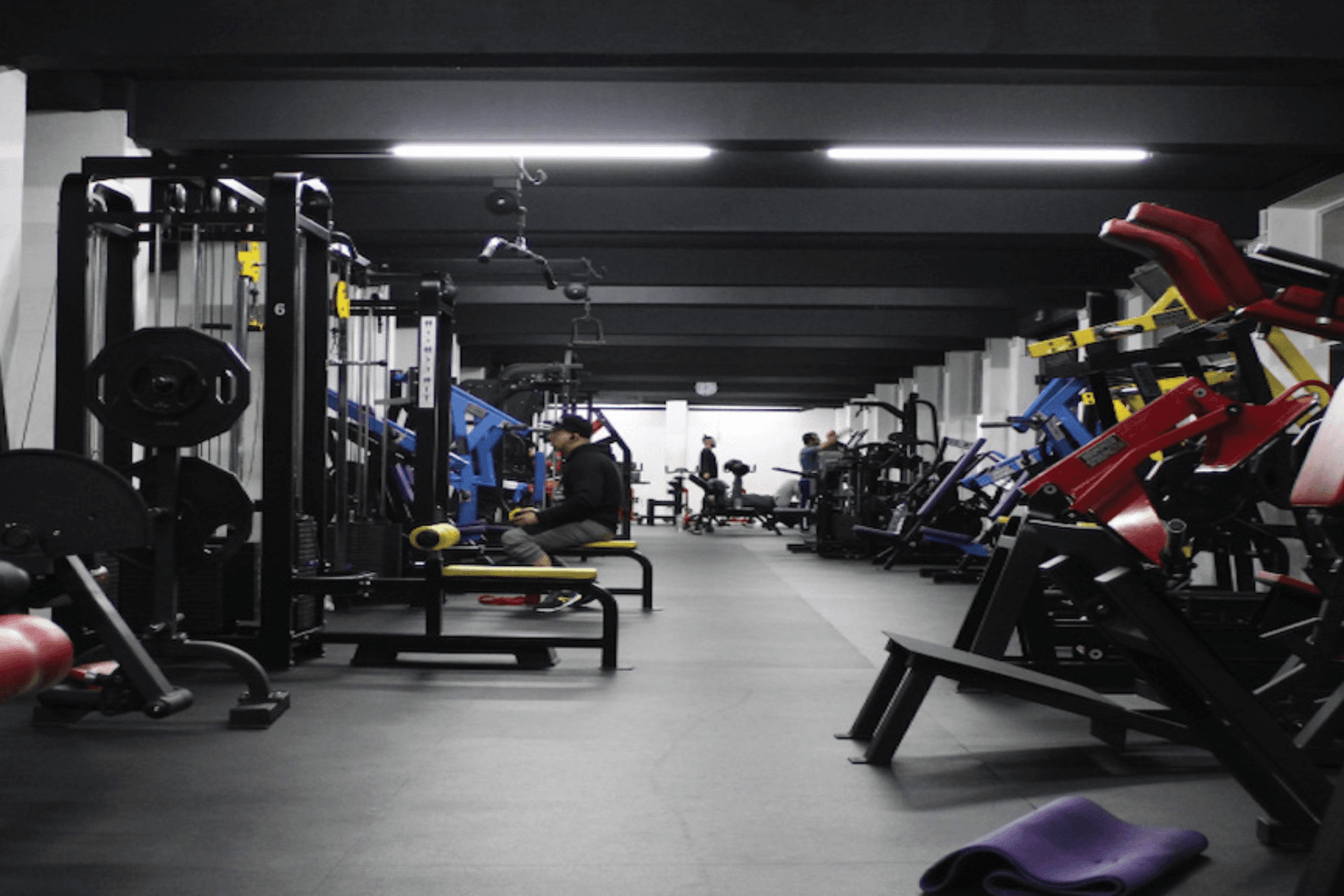 FOX GYM