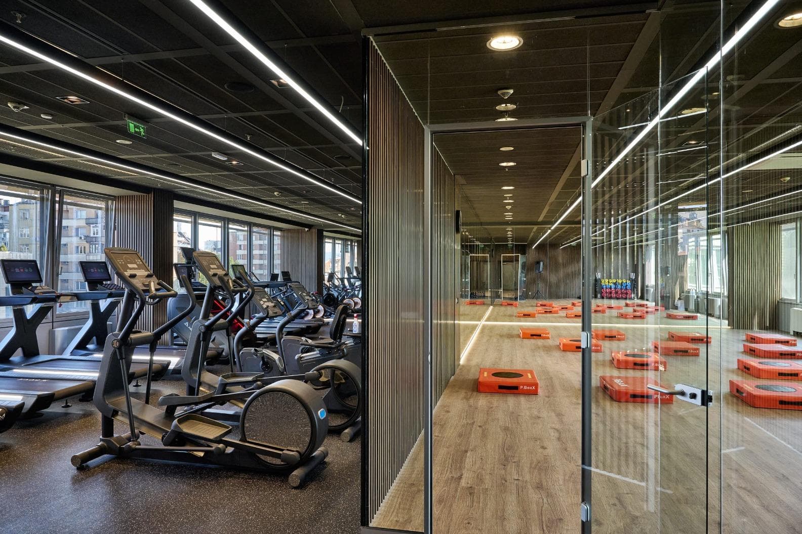 Pulse Fit (Serdika Center)