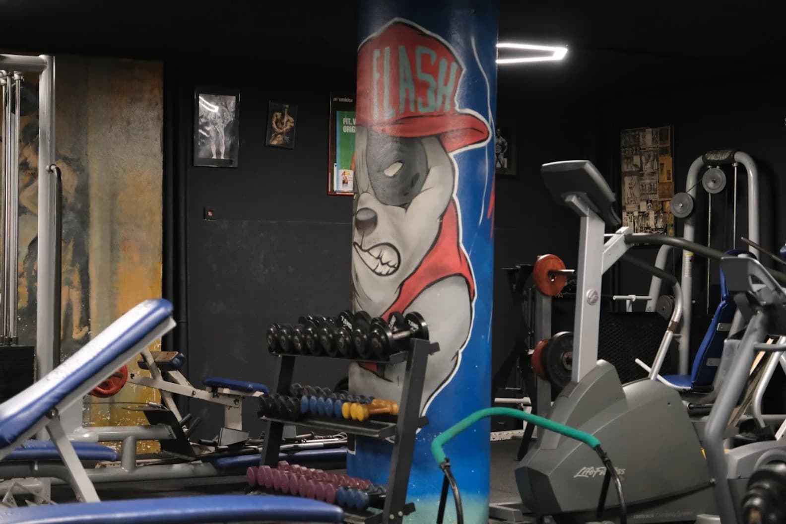 Flash Gym