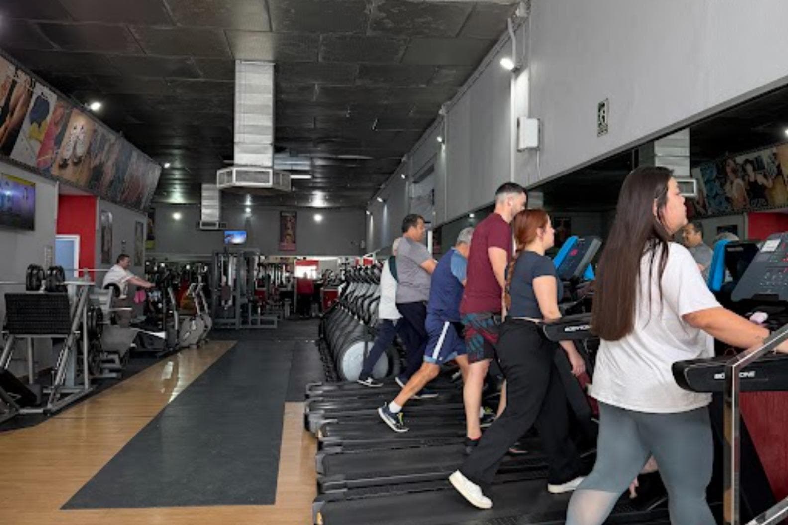 Black Gym Campanillas