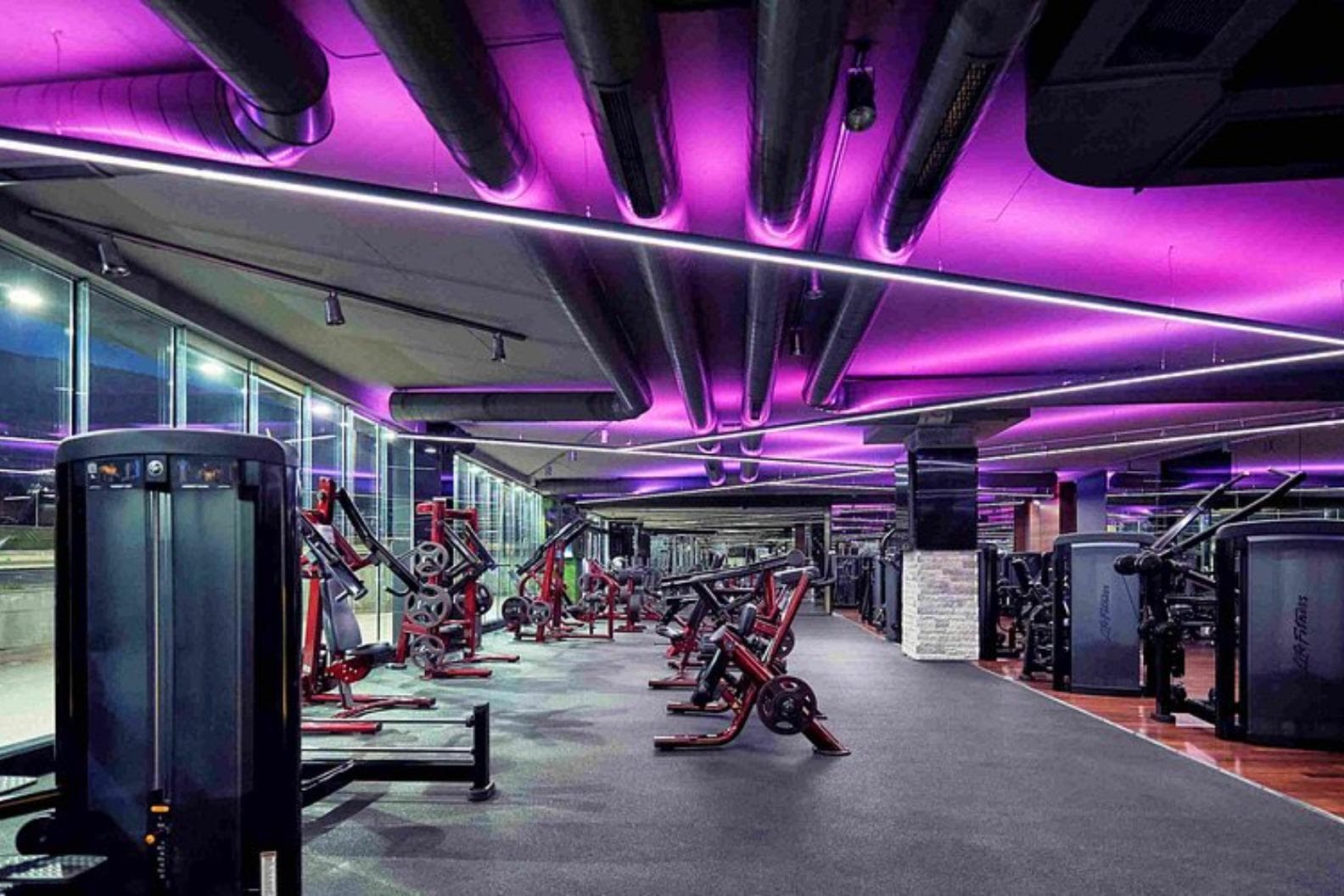 Pulse Fit (Bulgaria)