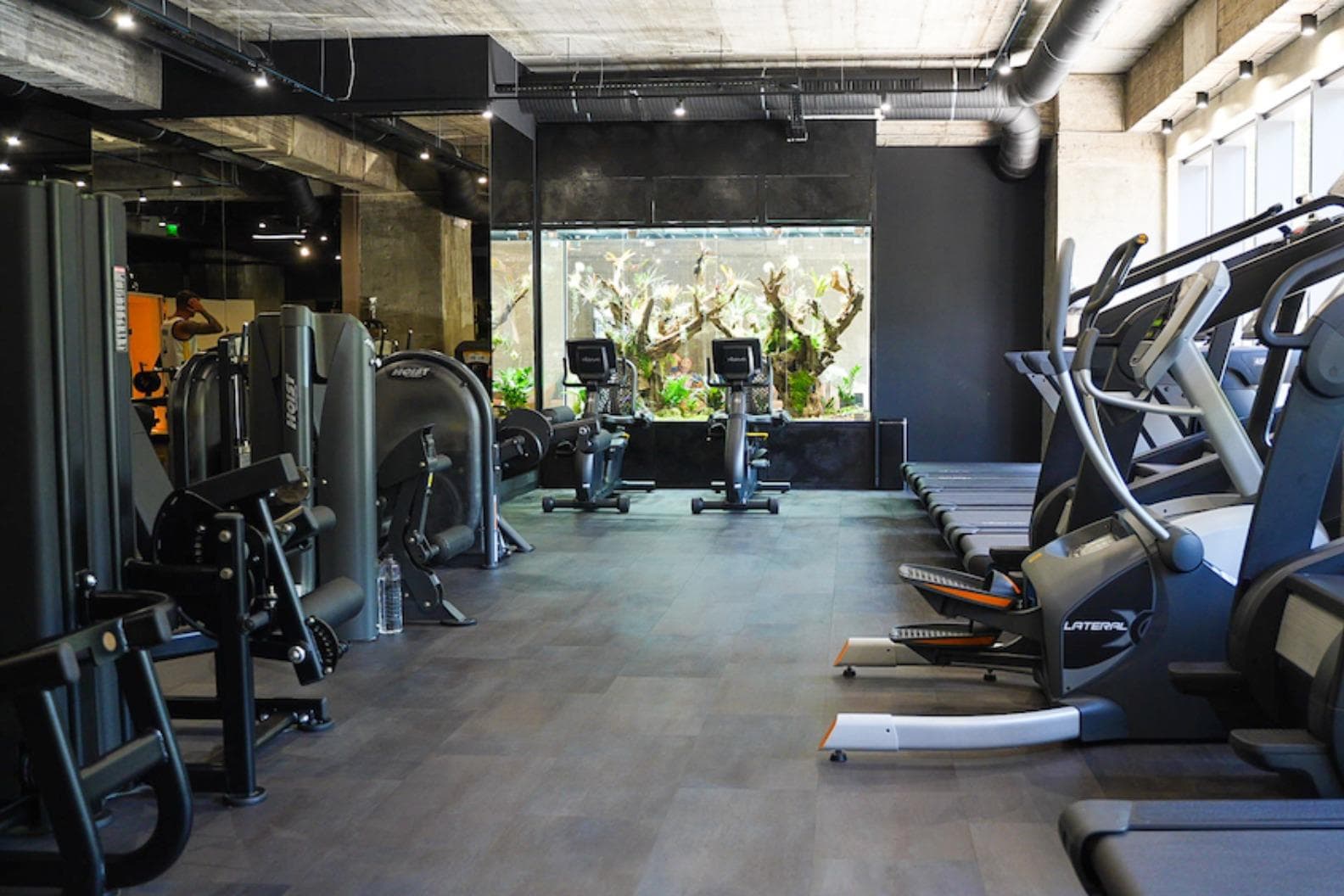 Downtown Fitness (Matei Basarab)