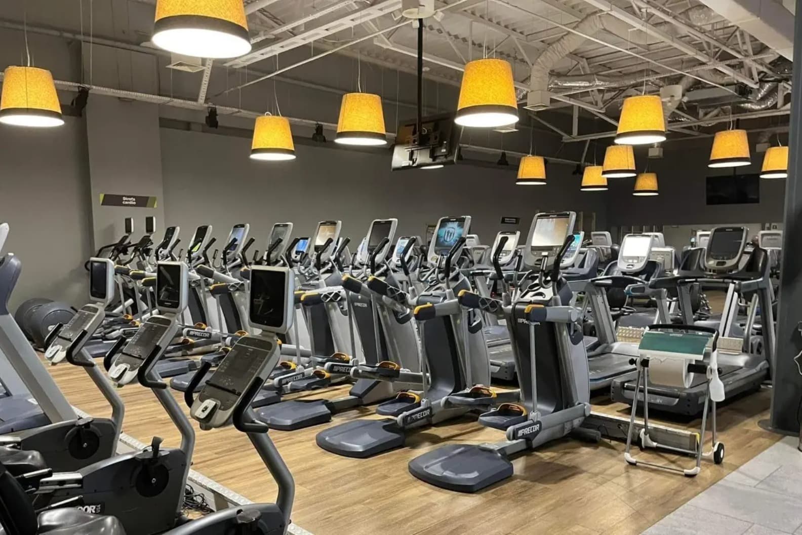 Well Fitness Skorosze