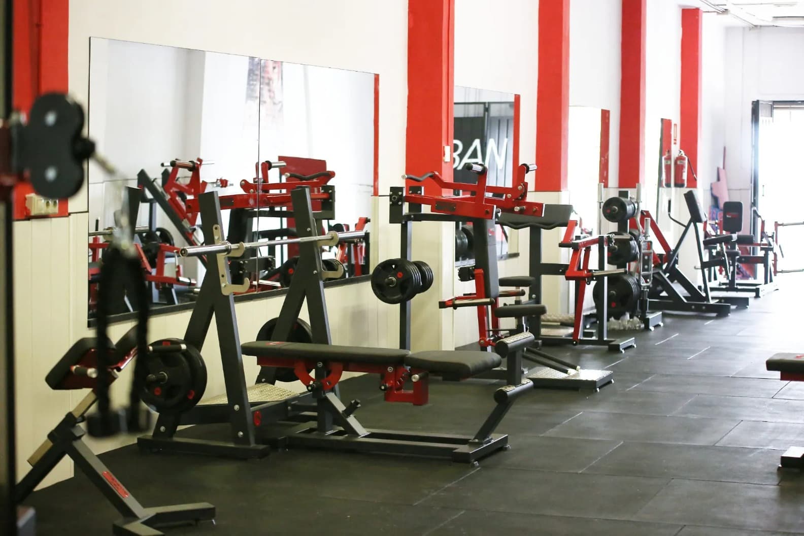 Esteban Gym (Bellavista)