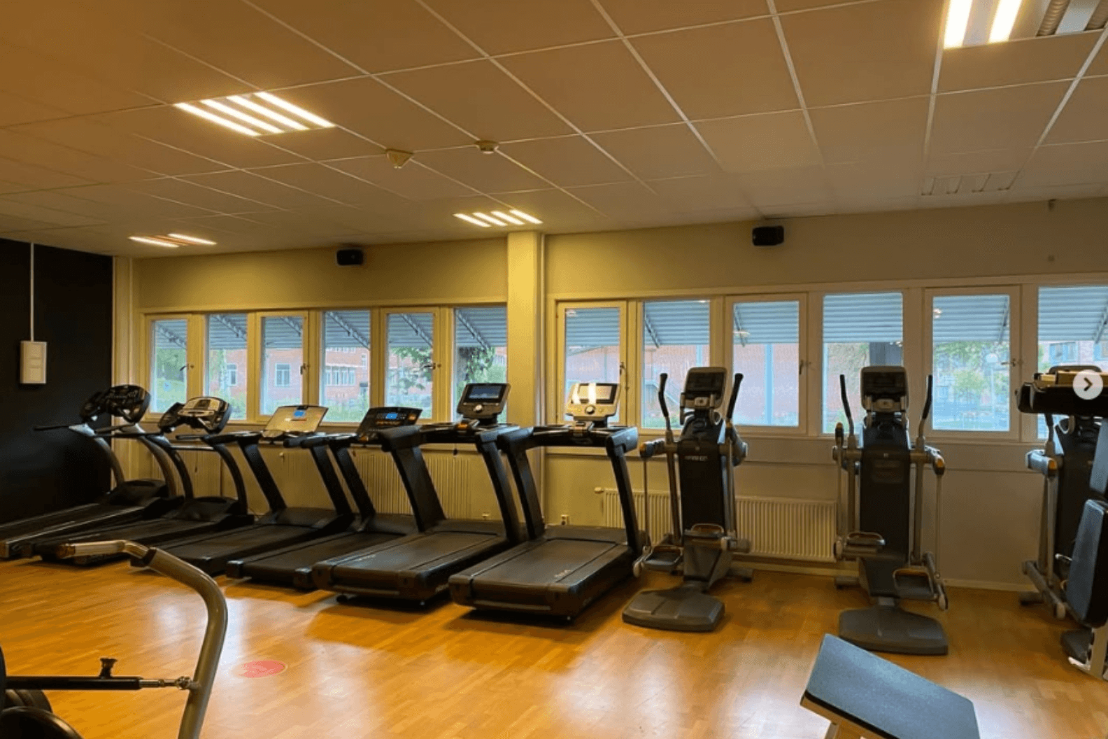 Anton's Gym