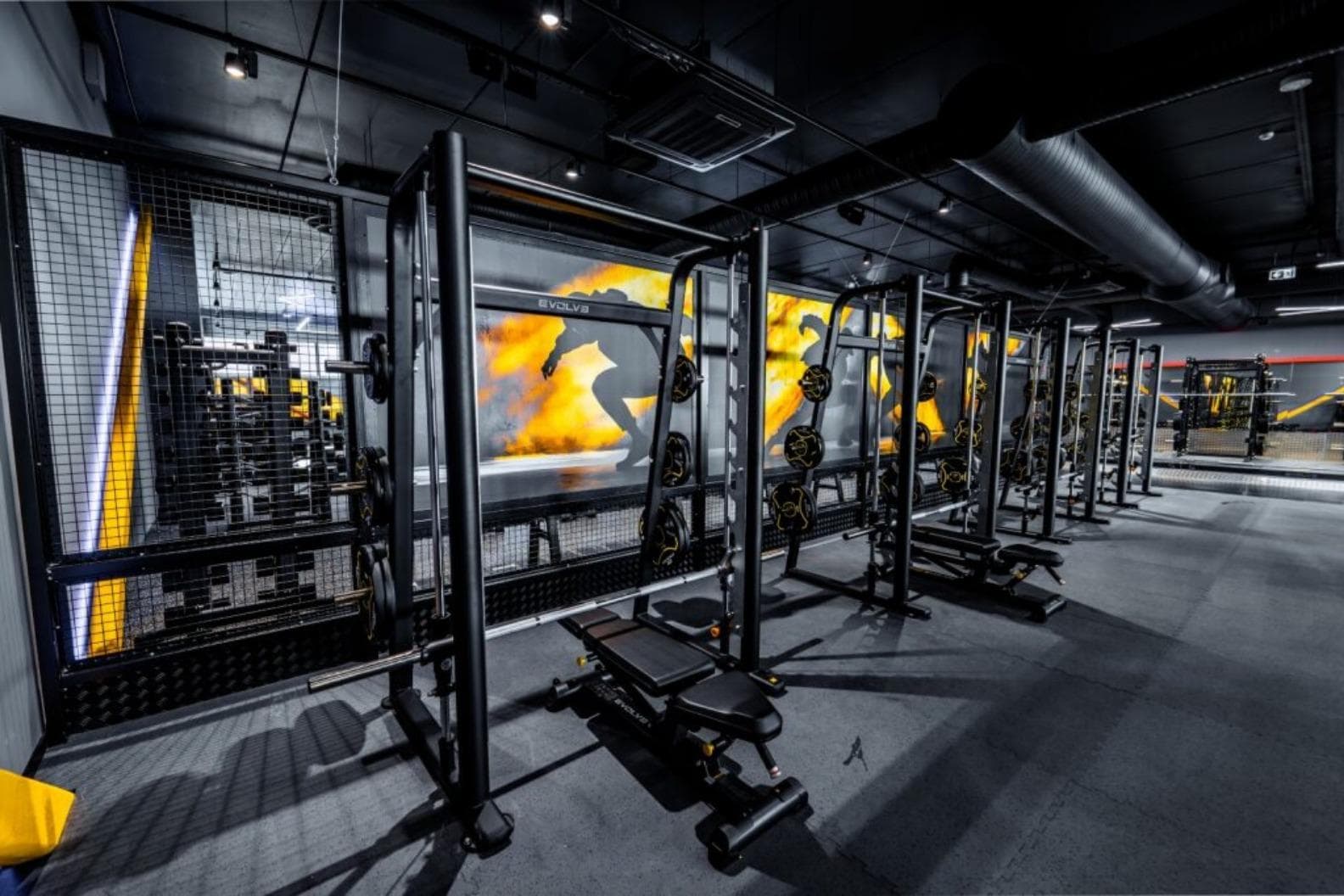 GYM! Eesti (Virbi)