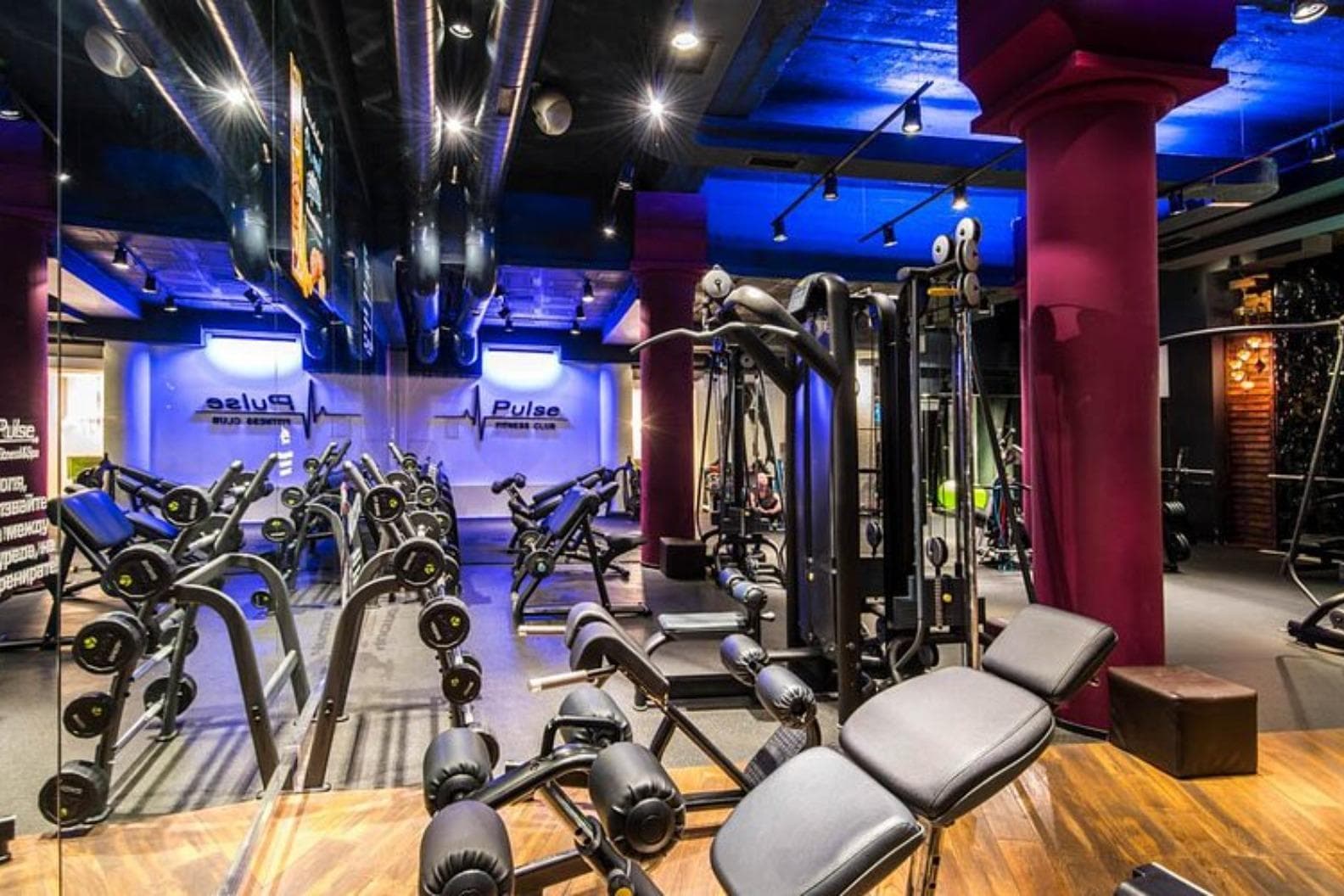 Pulse Fit (Deluxe)