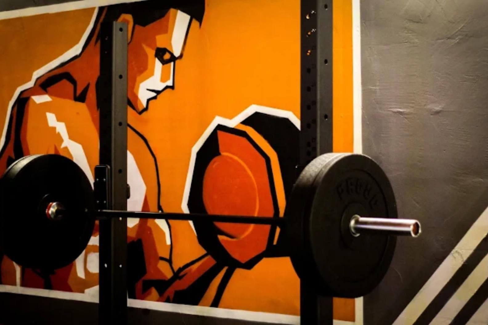 NoLimit Gym Dziki