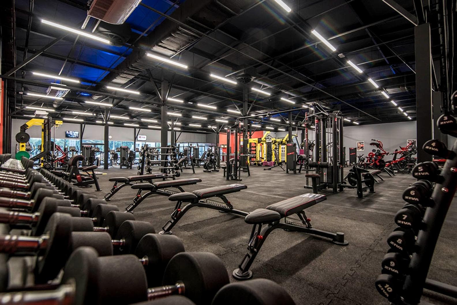 Xtreme Fitness Częstochowa