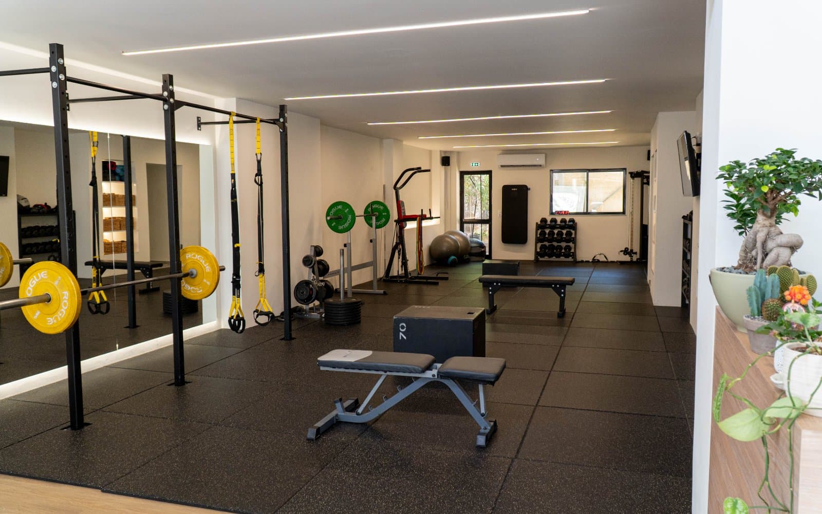 Animus Wellness Studio