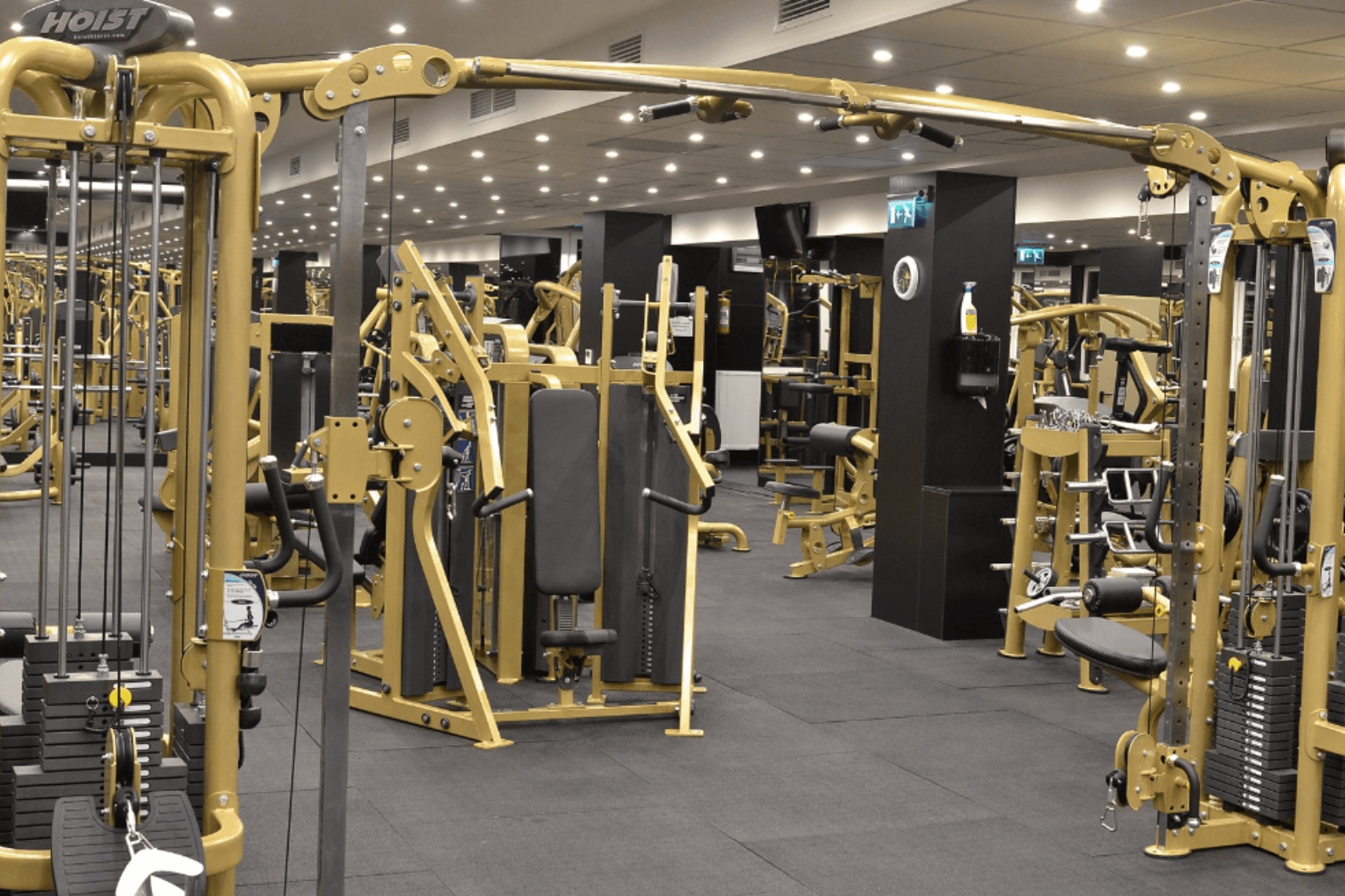 Peak Gym (Gold)