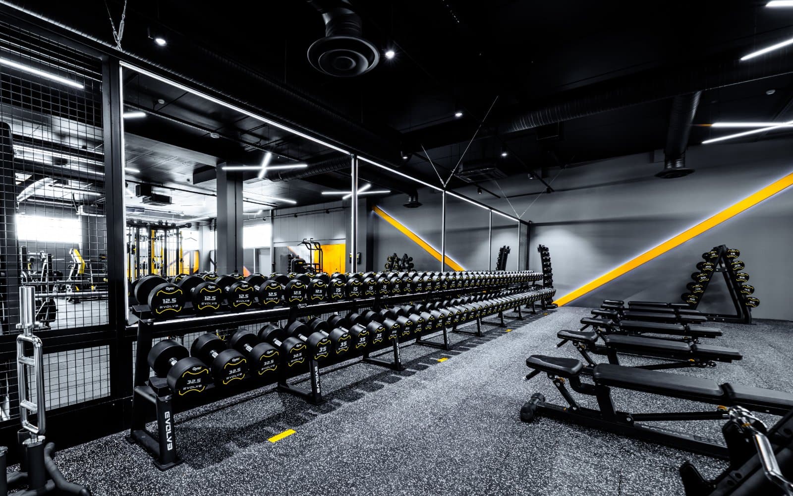 GYM! Eesti (Virbi)