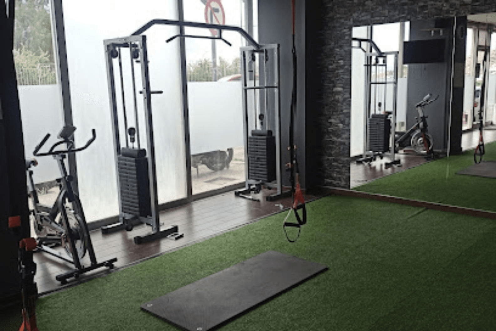 r-evolution fitness