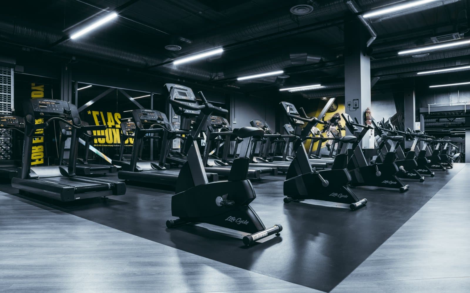 Gym! Eesti (Mustika)