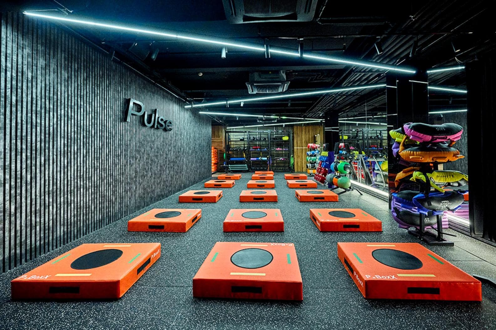Pulse Fit (Mall of Sofia)