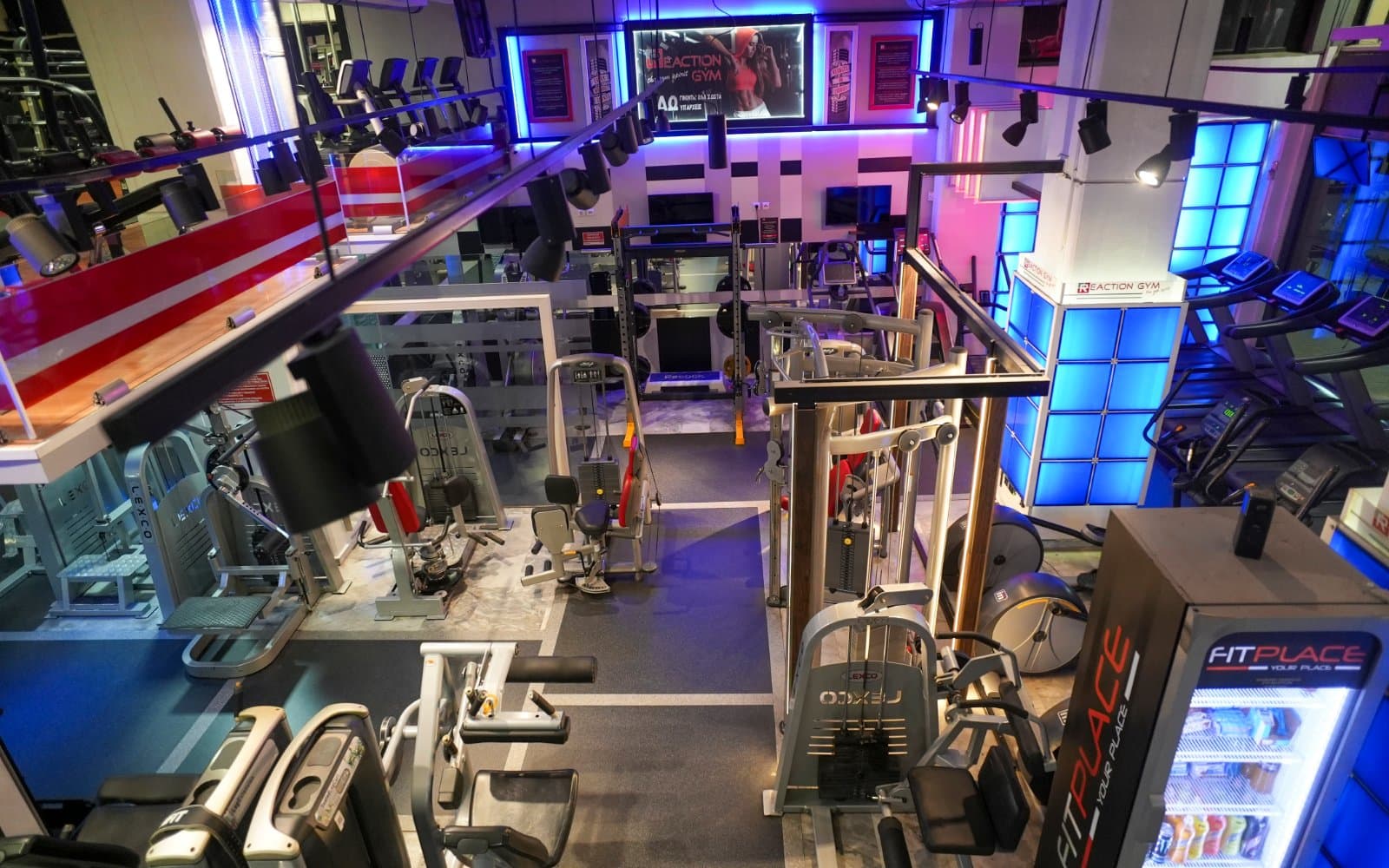 REACTION GYM