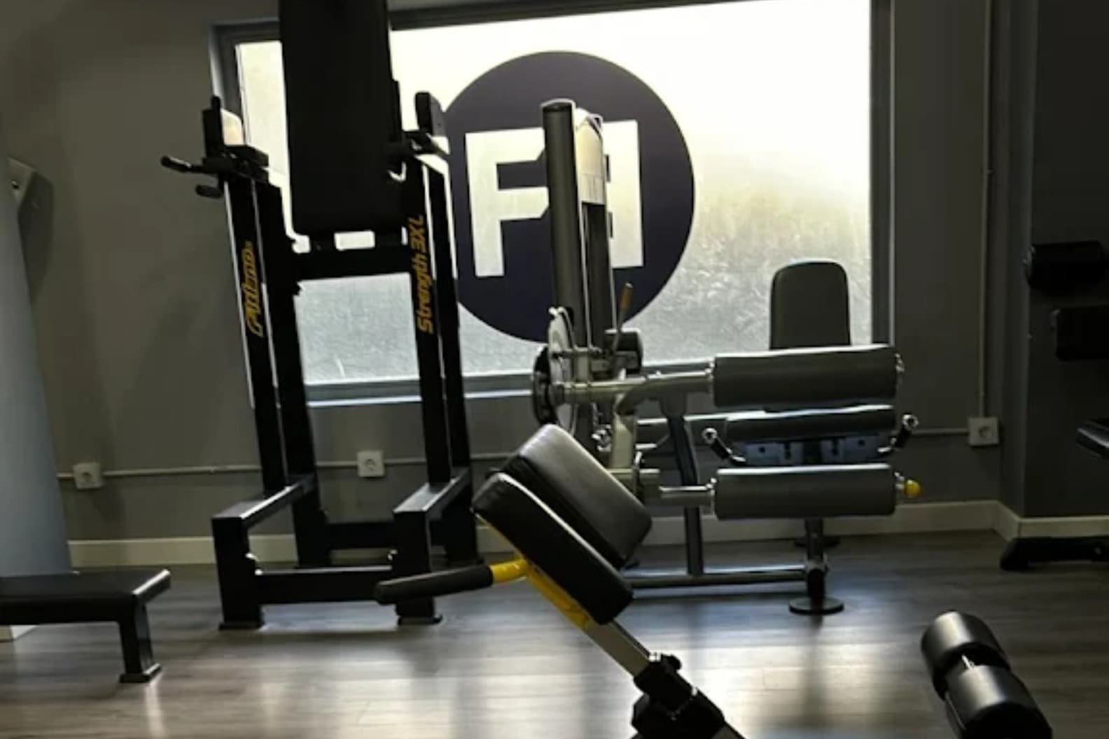 Evolution Fitness