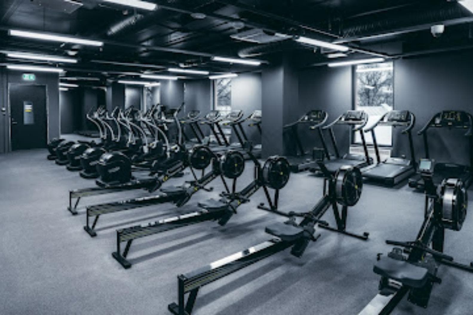 GYM! Eesti (Vanalinn)