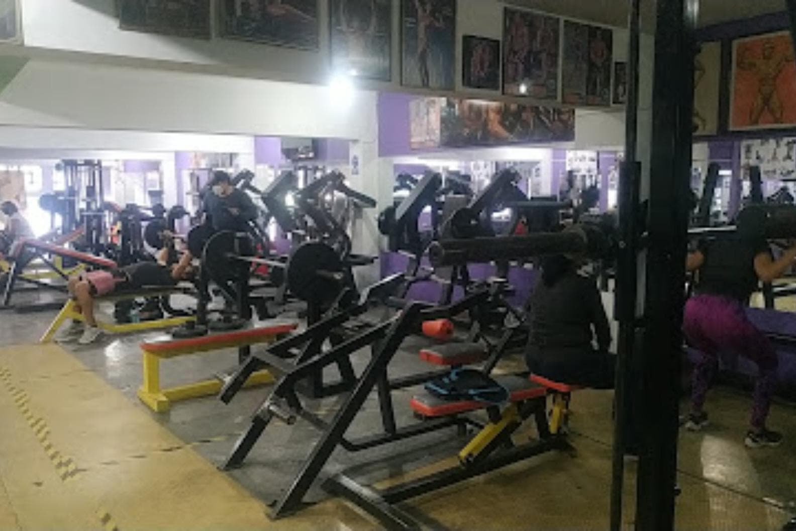 Alyhens Gym
