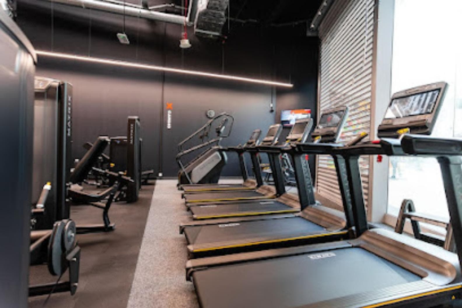 Xtreme Fitness Sosnowiec Plejada