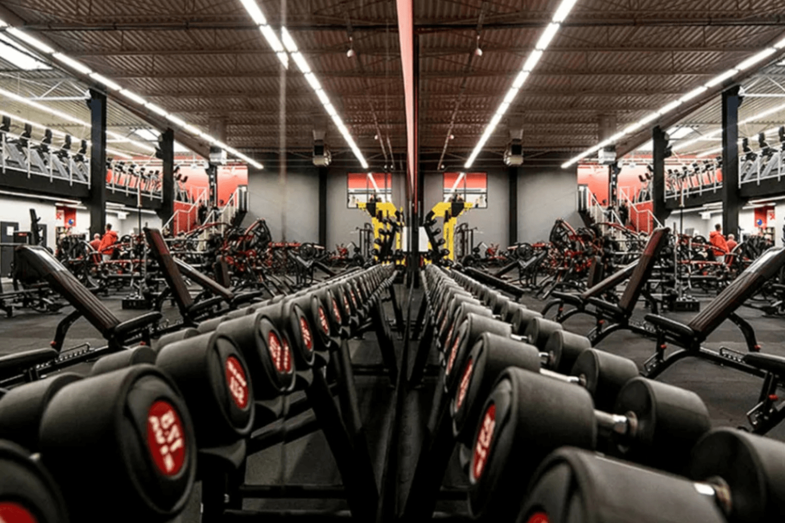 Xtreme Fitness Zielona Góra Galeria Źródlana
