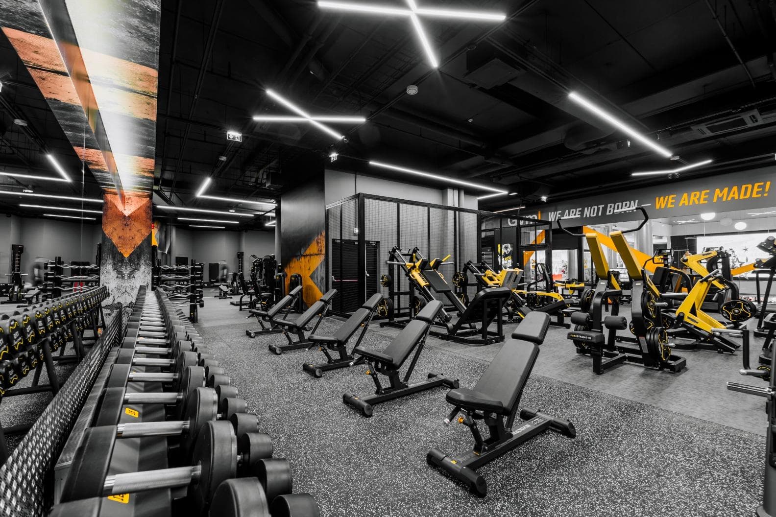 Gym! Eesti (Astri)