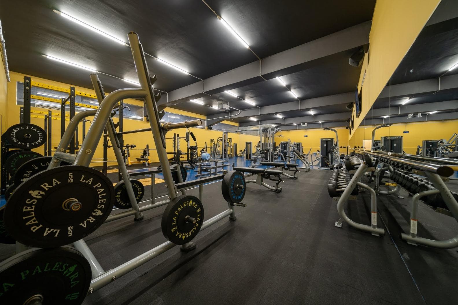 La Palestra