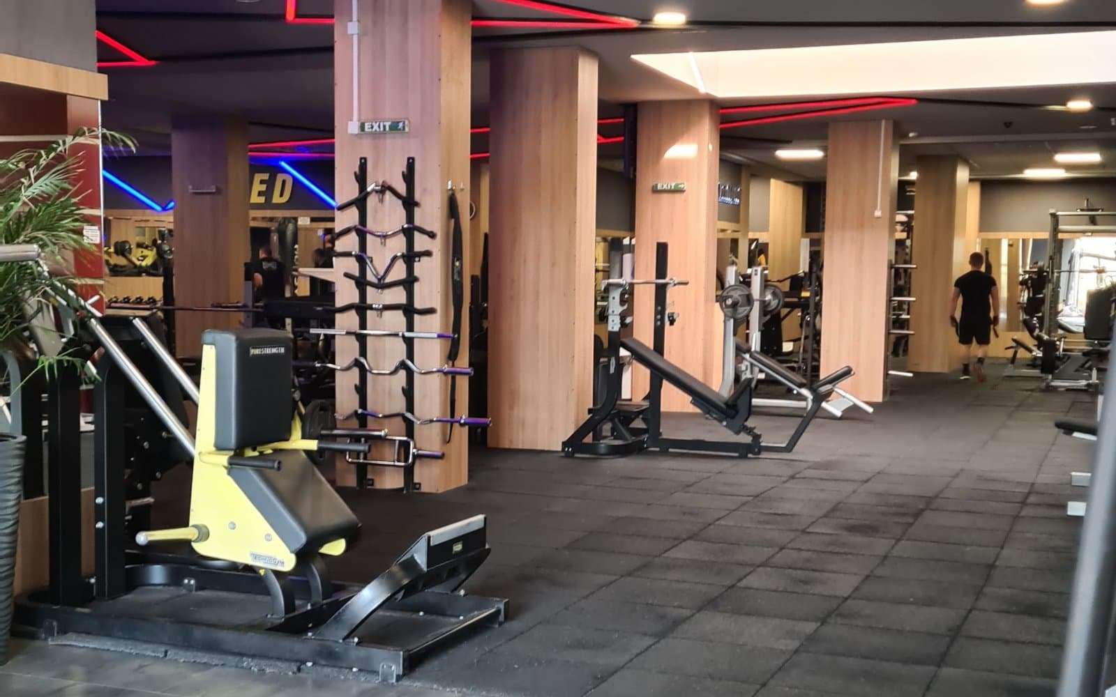 Pulse Fit (Vital)