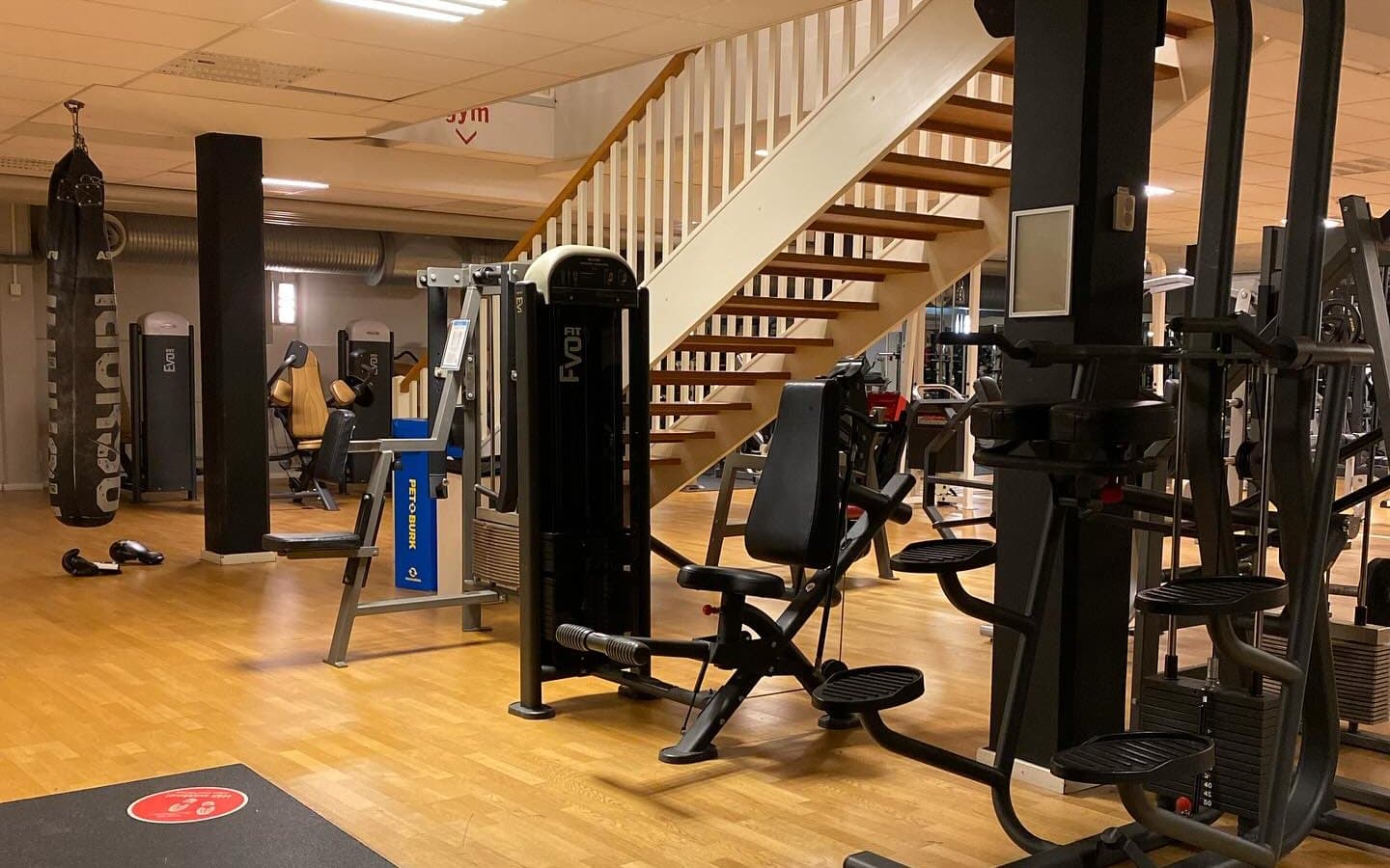 Anton's Gym