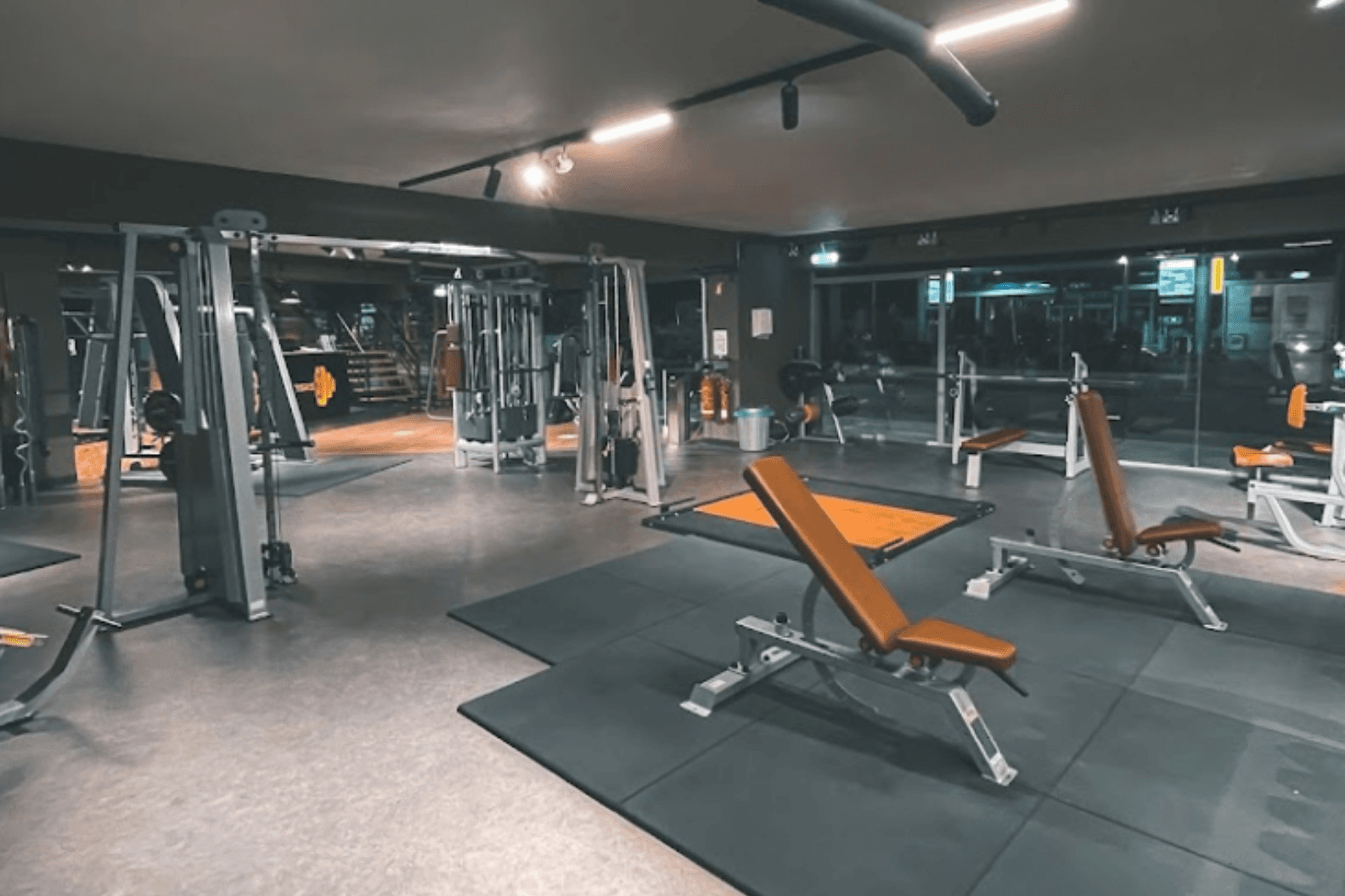Regenesis GYM