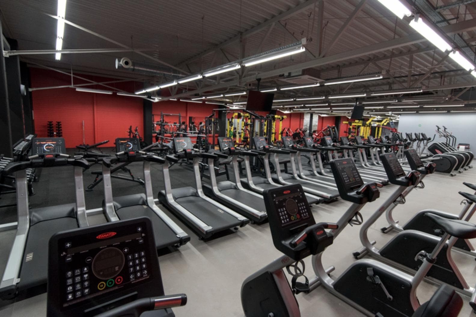 Xtreme Fitness Jawor