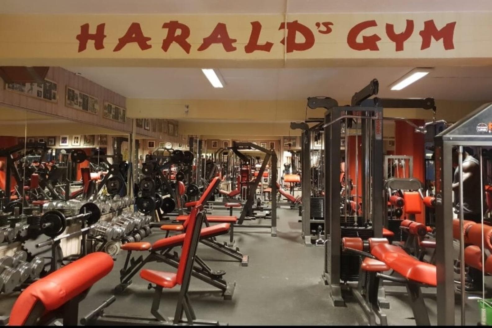 Harald's Gym