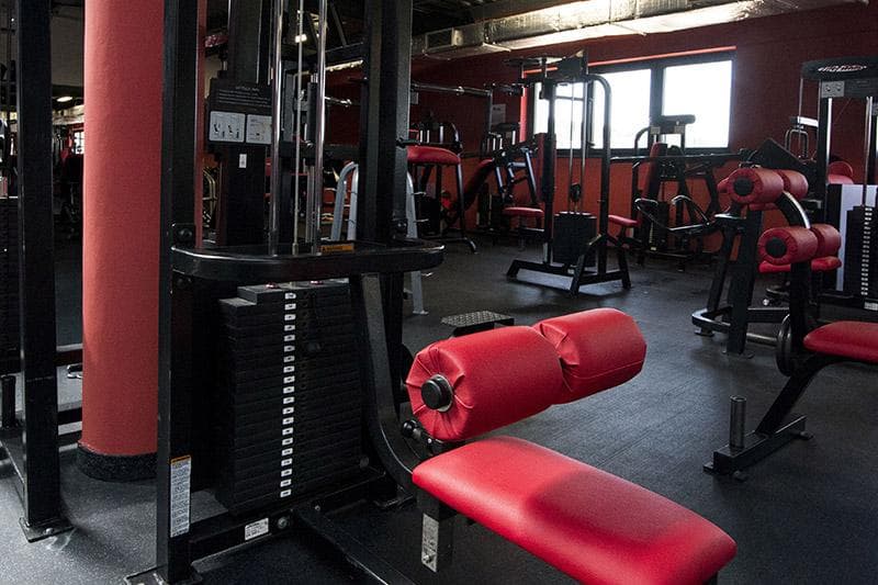 Xtreme Fitness Brzesko